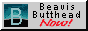 Beavis + Butthead