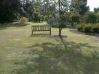 Kew Gardens greenery