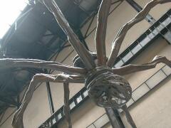 spider by Louise Bourgeois, from below