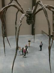 spider by Louise Bourgeois, from above